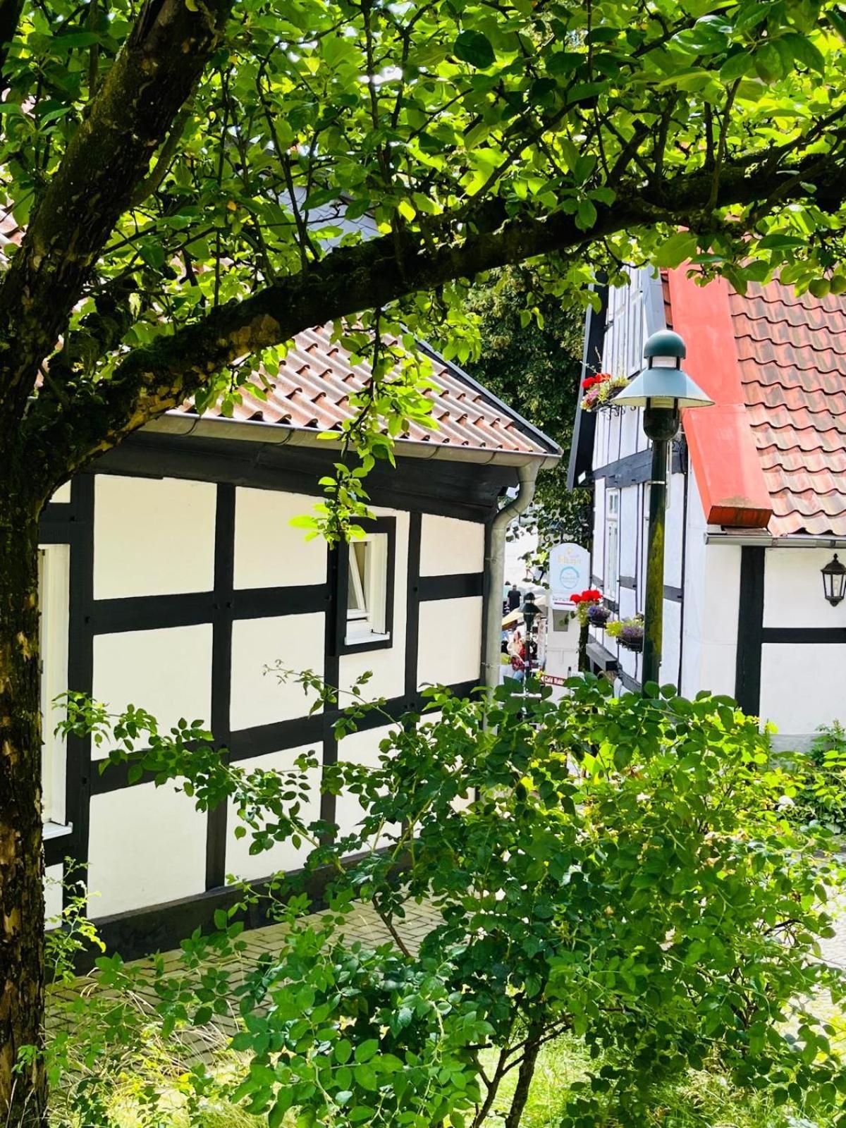 Lateinschule Apartment Tecklenburg Exterior foto