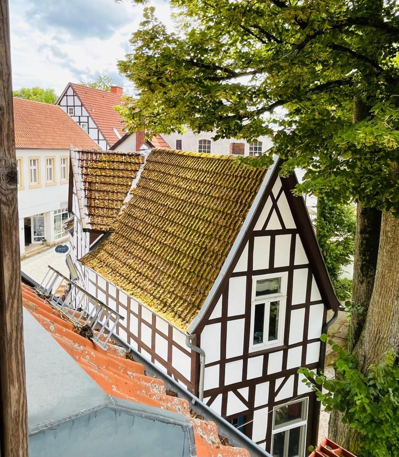 Lateinschule Apartment Tecklenburg Exterior foto